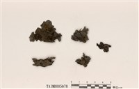 藏品(貓耳衣屬)的圖片